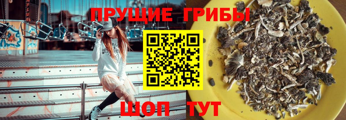 Галлюциногенные грибы мухоморы  Галлюциногенные грибы Psilocybe  Барабинск  Вход с VPN 