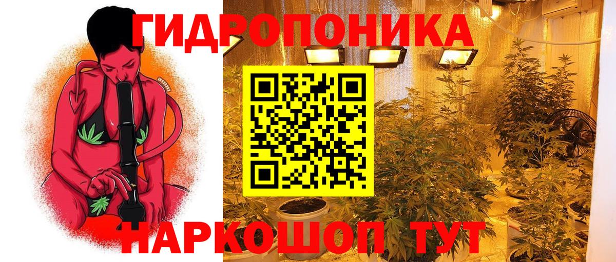 Бошки марихуана ГИДРОПОН Барабинск